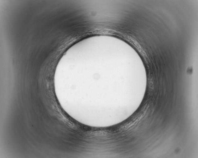 X0000103440433200810031416