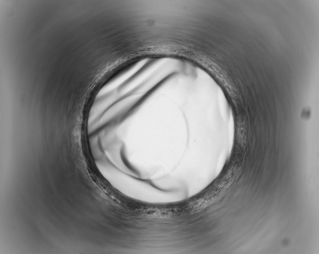 X0000103440434200810031416