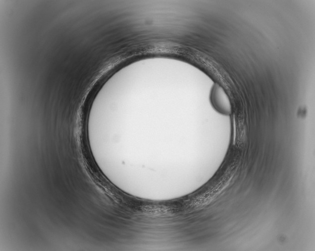 X0000103440435200810031416