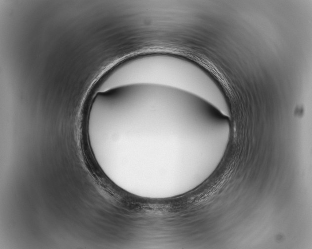 X0000103440436200810031416