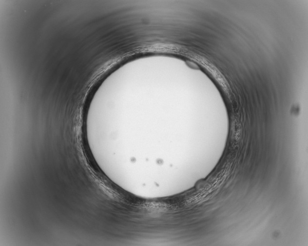 X0000103440437200810031417