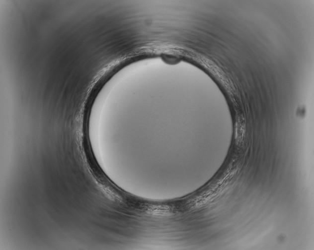 X0000103440438200810031417