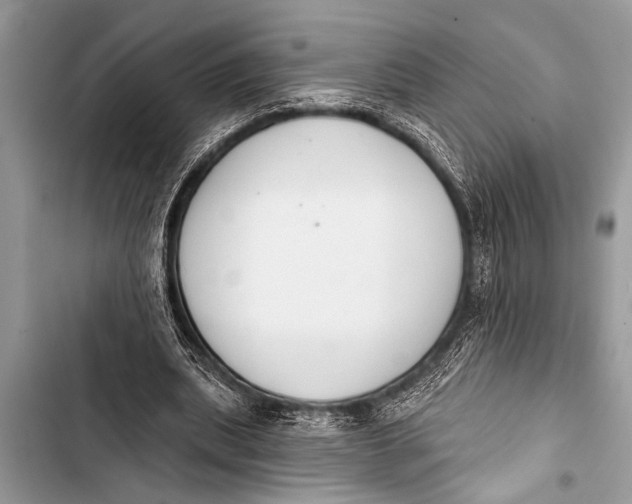 X0000103440439200810031417