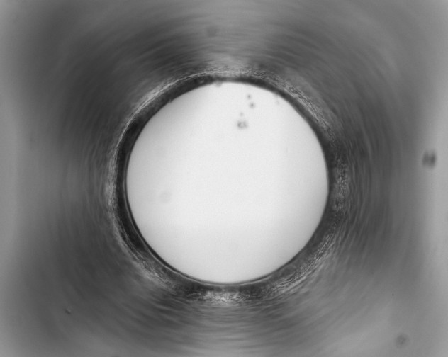 X0000103440440200810031417