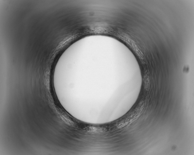 X0000103440442200810031417