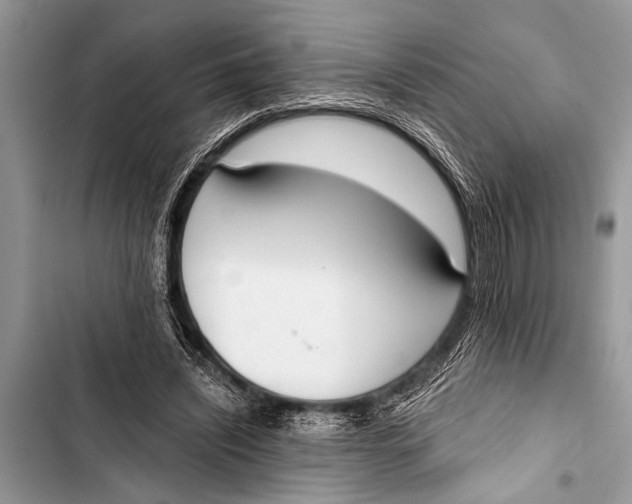 X0000103440444200810031417