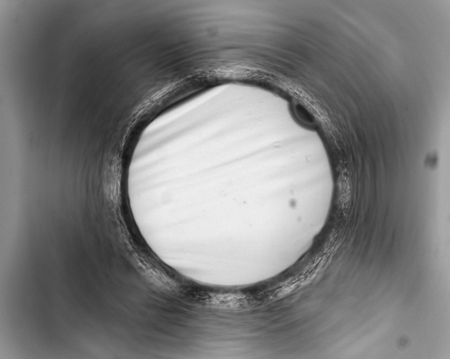 X0000103440446200810031417