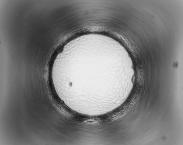 X0000103440447200810031417