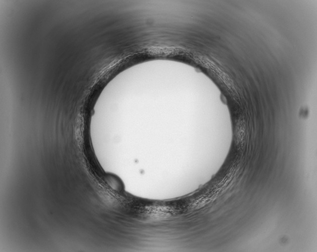 X0000103440448200810031417