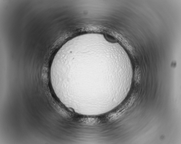 X0000103440449200810031417