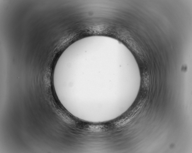 X0000103440450200810031417