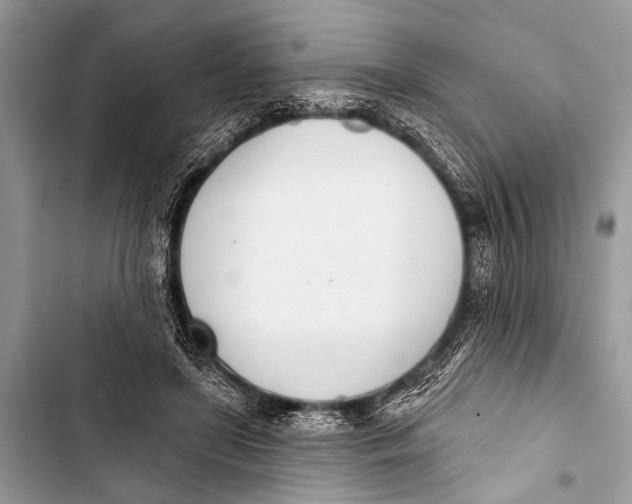 X0000103440451200810031417