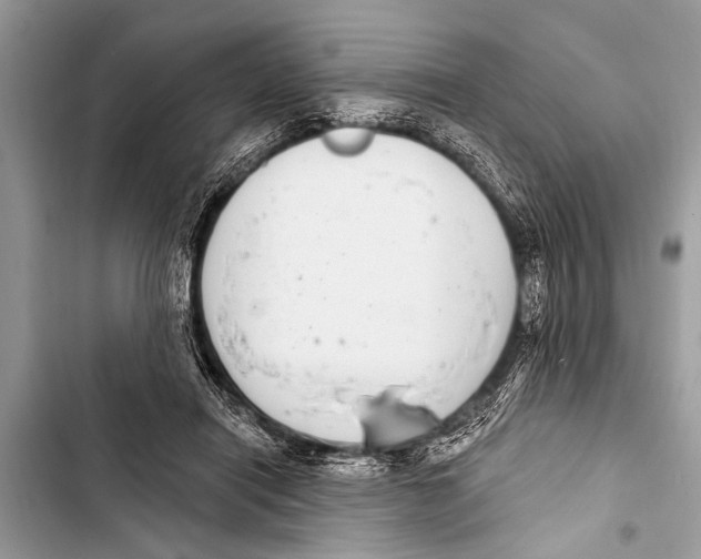 X0000103440454200810031417