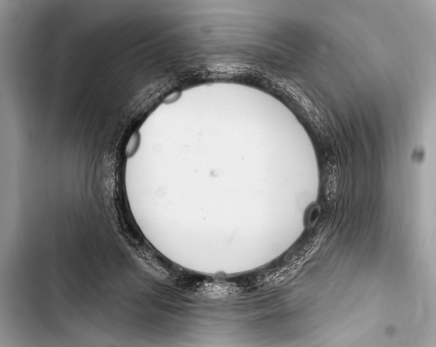 X0000103440455200810031417