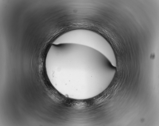 X0000103440456200810031417