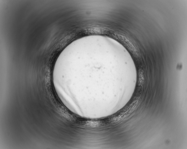 X0000103440457200810031417