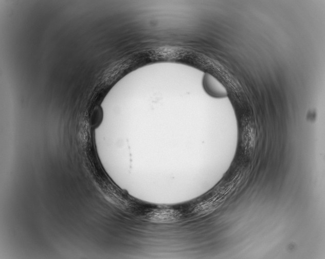 X0000103440459200810031417