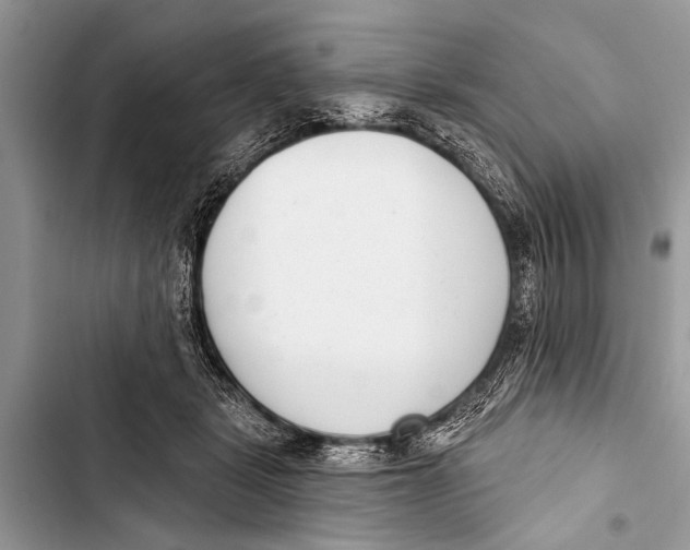 X0000103440461200810031417