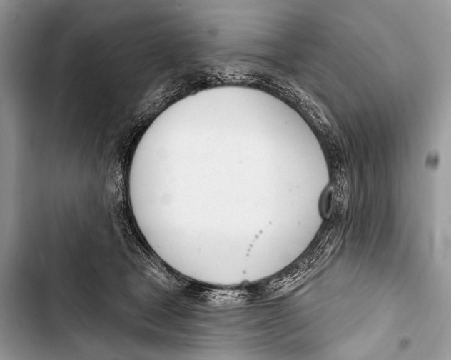 X0000103440465200810031417