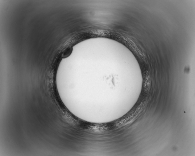 X0000103440466200810031417
