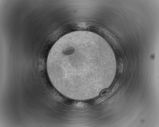 X0000103440467200810031417