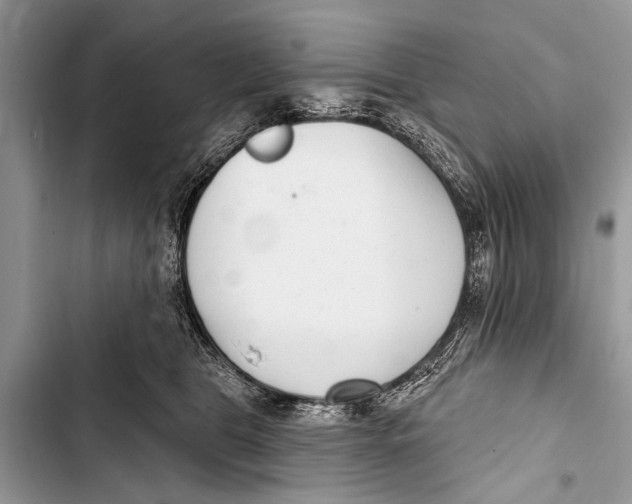 X0000103440469200810031417