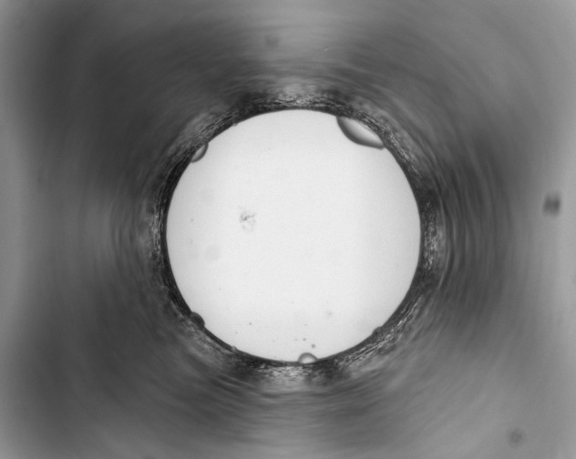 X0000103440473200810031417