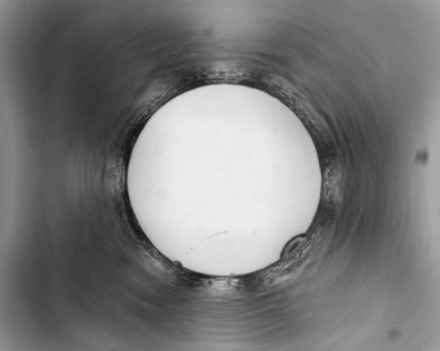 X0000103440474200810031417