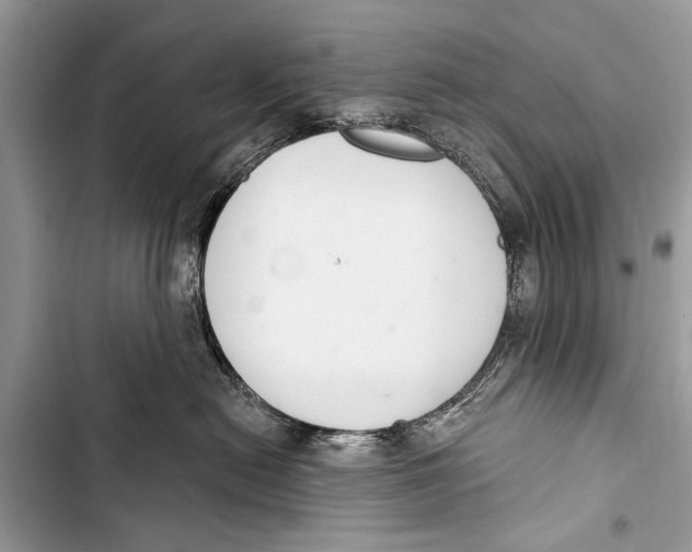 X0000103440478200810031417