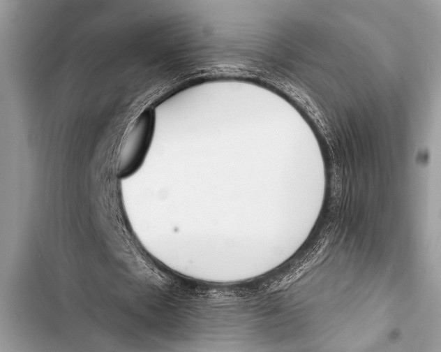 X0000103440481200810031416
