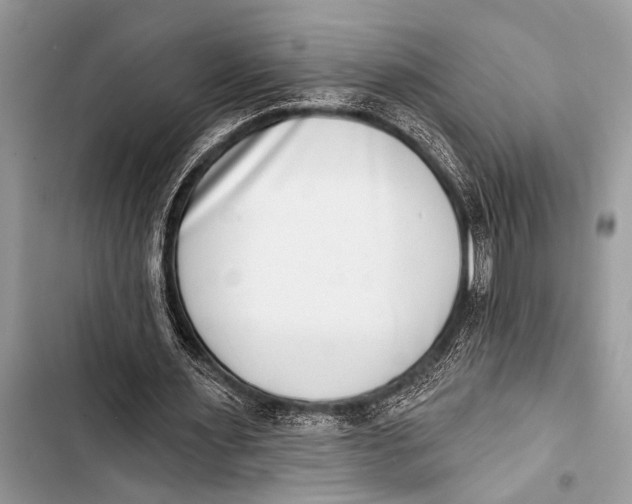 X0000103440483200810031416