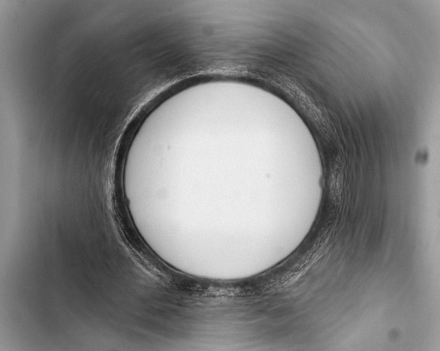 X0000103440484200810031416