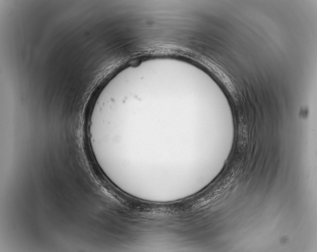 X0000103440485200810031416