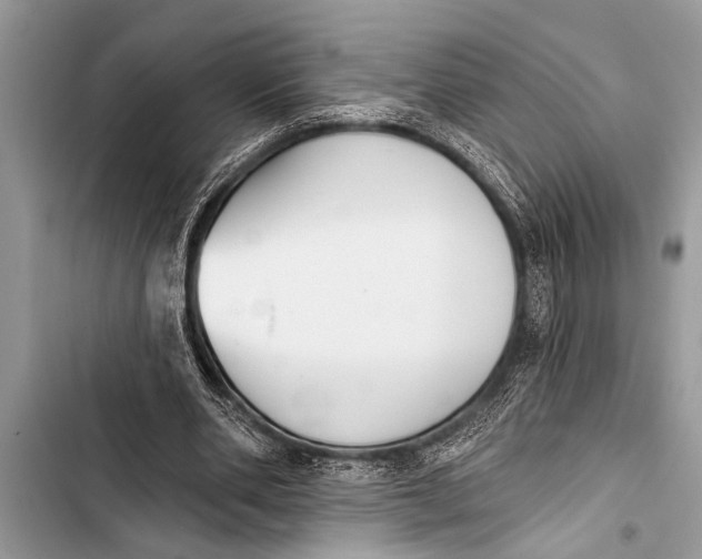 X0000103440486200810031416