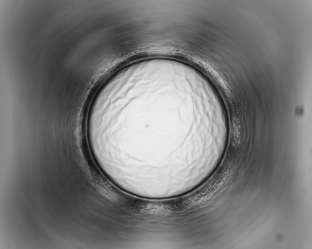 X0000103440487200810031416