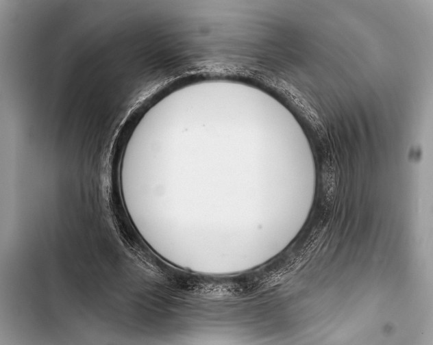 X0000103440488200810031416