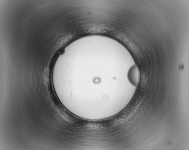 X0000103440490200810031416