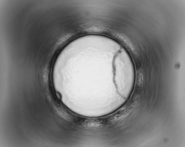 X0000103440491200810031416