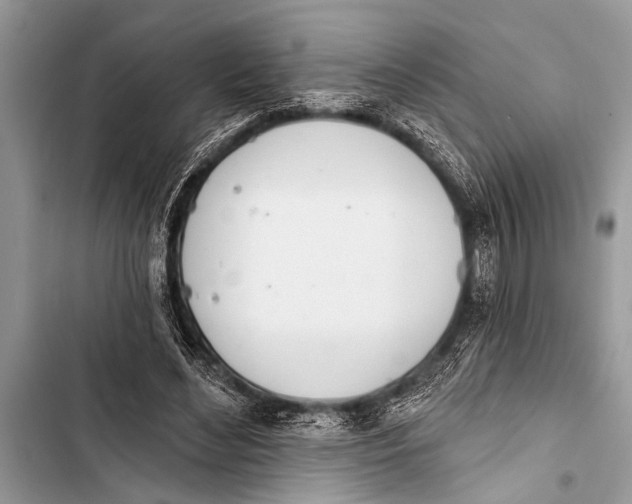 X0000103440492200810031416