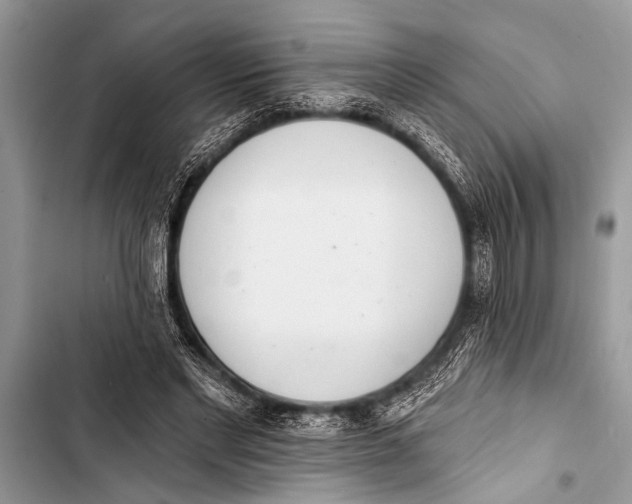 X0000103440493200810031416
