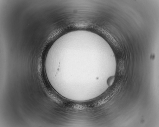 X0000103440494200810031416
