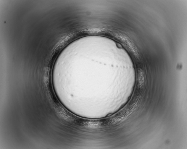 X0000103440495200810031416