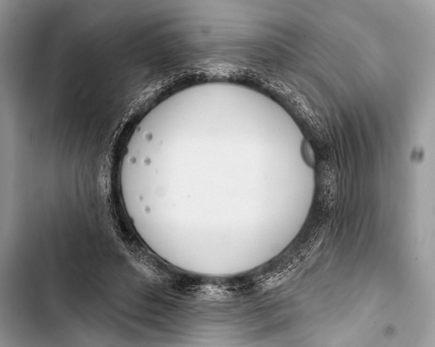 X0000103440496200810031416