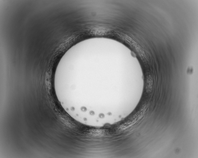 X0000103440497200810031416
