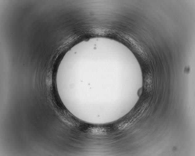X0000103440500200810031416