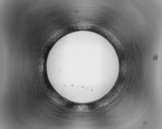 X0000103440501200810031416