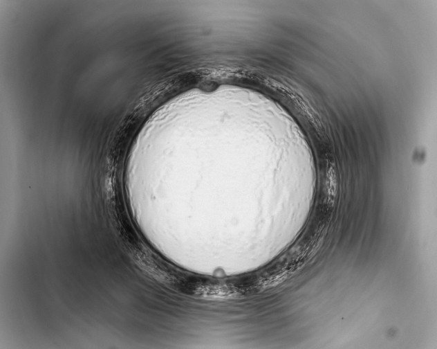 X0000103440503200810031416