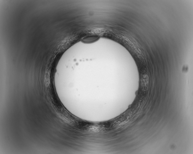 X0000103440504200810031416