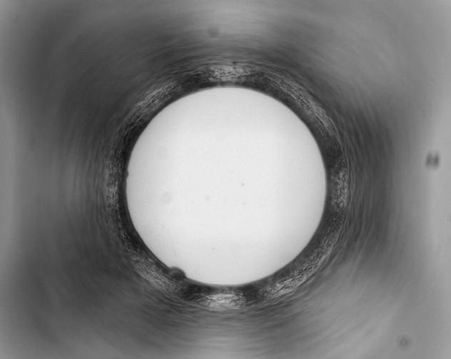 X0000103440505200810031416