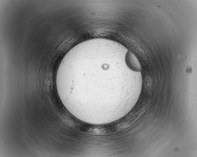 X0000103440506200810031416